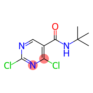 2,4-Dichloro-pyrimidine-5-carboxylic acid-tert-butylamide