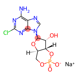 2-CHLOROADENOSINE-3',5'-CYCLIC MONOPHOSPHATE SODIUM SALT