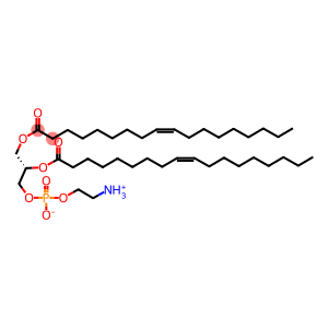 1,2-二酰基-SN-甘油-3-磷酸乙醇胺