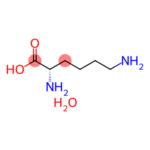 L-赖氨酸一水物