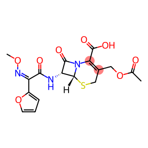 头孢呋汀