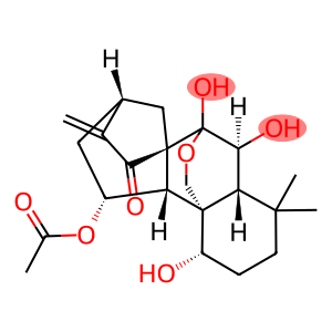 Taibaihenryiins A