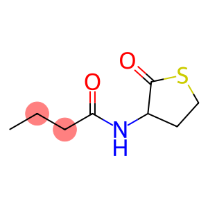 N-(2-oxotetrahydrothiophen-3-yl)butyraMide