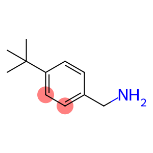 4-叔丁基苄胺