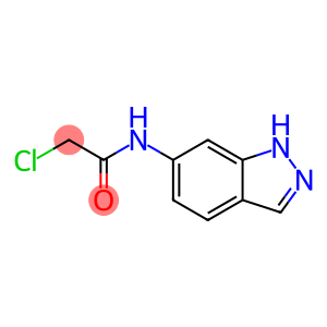 2-Chloro-N-(1H-indazol-6-yl)-acetaMide, 98+%