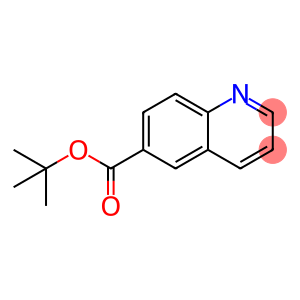 6-Quinolinecarboxylic acid, 1,1-dimethylethyl ester