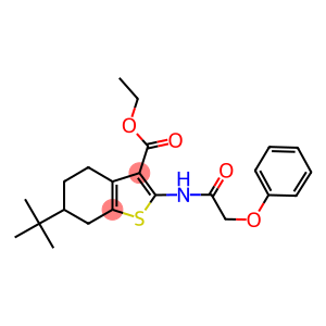 ethyl 6-tert-butyl-2-[(phenoxyacetyl)amino]-4,5,6,7-tetrahydro-1-benzothiophene-3-carboxylate