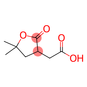 2-(5,5-二甲基-2-氧氧杂环戊烷-3-基)乙酸