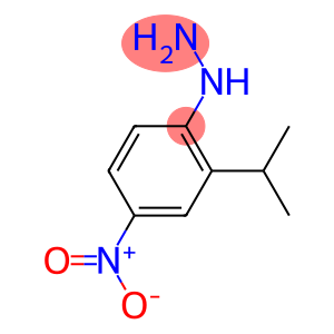 Hydrazine, [2-(1-methylethyl)-4-nitrophenyl]- (9CI)