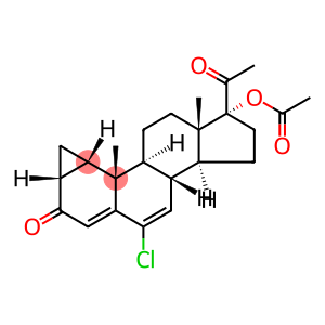 环丙孕酮醋酸盐, 一种雄激素受体拮抗剂