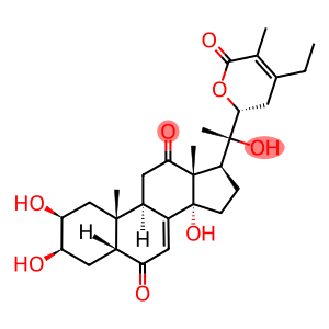 筋骨草内酯