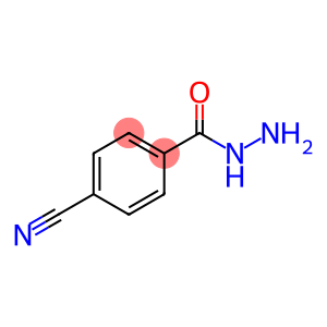 4-氰基苯肼