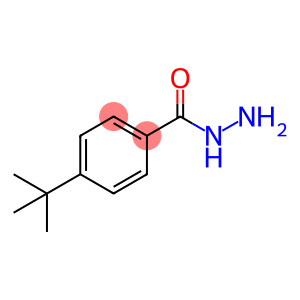 Benzoic acid, 4-(1,1-dimethylethyl)-, hydrazide