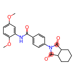 N-(2,5-dimethoxyphenyl)-4-(1,3-dioxooctahydro-2H-isoindol-2-yl)benzamide