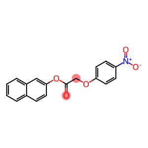 2-naphthyl {4-nitrophenoxy}acetate