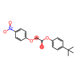 Acetic acid, 2-(4-nitrophenoxy)-, 4-(1,1-dimethylethyl)phenyl ester