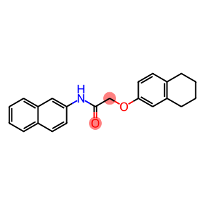 N-(2-naphthyl)-2-(5,6,7,8-tetrahydro-2-naphthalenyloxy)acetamide