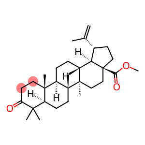 Betulonicacidmethylester