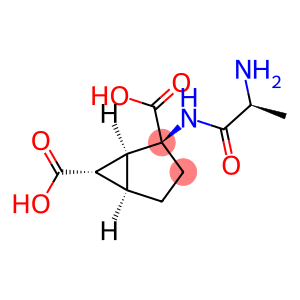 TALAGLUMETAD