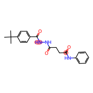 4-[2-(4-tert-butylbenzoyl)hydrazino]-4-oxo-N-phenylbutanamide