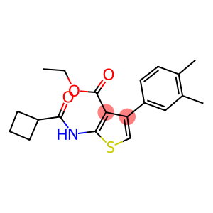 ethyl 2-[(cyclobutylcarbonyl)amino]-4-(3,4-dimethylphenyl)-3-thiophenecarboxylate