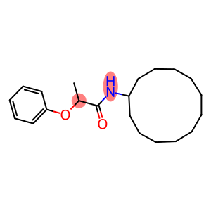 N-cyclododecyl-2-phenoxypropanamide