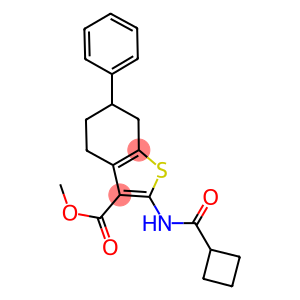 methyl 2-[(cyclobutylcarbonyl)amino]-6-phenyl-4,5,6,7-tetrahydro-1-benzothiophene-3-carboxylate