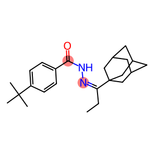 N'-[1-(1-adamantyl)propylidene]-4-tert-butylbenzohydrazide