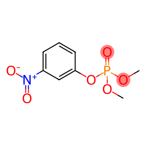 Phosphoric acid dimethyl 3-nitrophenyl ester