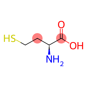 homocysteine