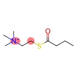 S-Butyrylthiocholine