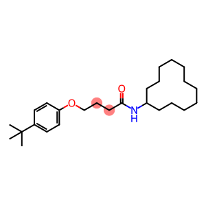 4-(4-tert-butylphenoxy)-N-cyclododecylbutanamide