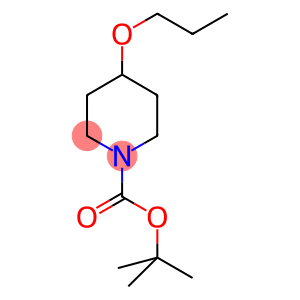 TERT-BUTYL 4-PROPOXYPIPERIDINE-1-CARBOXYLATE