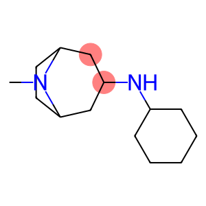 N-cyclohexyl-8-methyl-8-azabicyclo[3.2.1]octan-3-amine