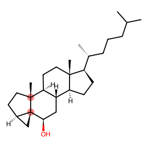 3α,5-Cyclo-5α-cholestan-6β-ol