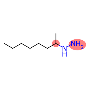 2-Hydrazinooctane