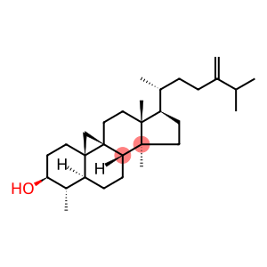 Cycloeucalenol