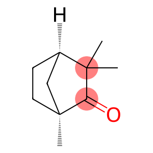 (+)-fenchone