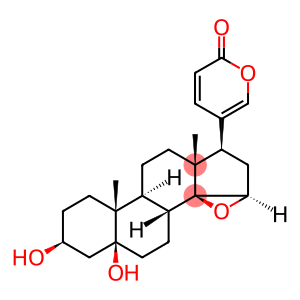 marinobufagenin