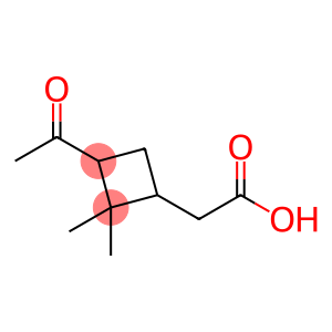 3-acetyl-2,2-dimethyl-cyclobutaneaceticaci