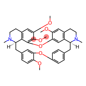 isosinomeninea