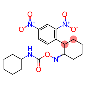 1-[2-(([(CYCLOHEXYLAMINO)CARBONYL]OXY)IMINO)CYCLOHEXYL]-2,4-DINITROBENZENE