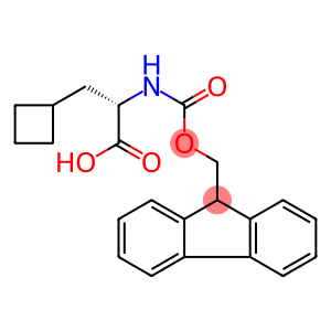 FMOC-L-环丁基丙氨酸
