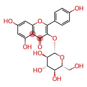 KAEMPFEROL-3-O-GLUCOSIDE