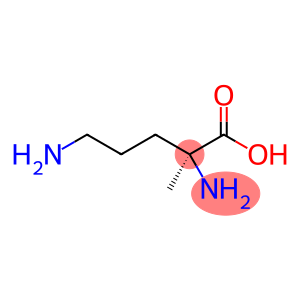 Ornithine, 2-methyl- (9CI)