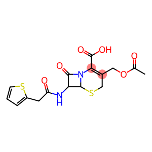 cefalotin