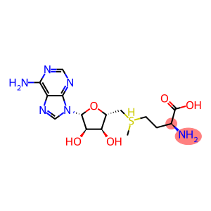 S-Adenosylmethionine