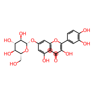 槲皮素-7-O-葡萄糖苷