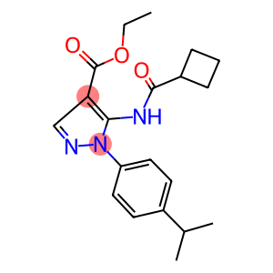 ethyl 5-[(cyclobutylcarbonyl)amino]-1-(4-isopropylphenyl)-1H-pyrazole-4-carboxylate