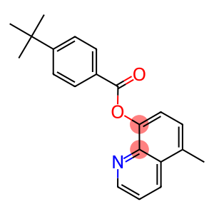 5-methyl-8-quinolinyl 4-tert-butylbenzoate